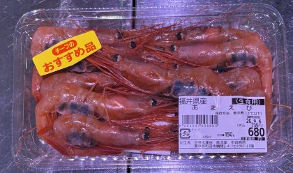 9月5日のおすすめ!🐟毎月3~7日はさかなの日🐟