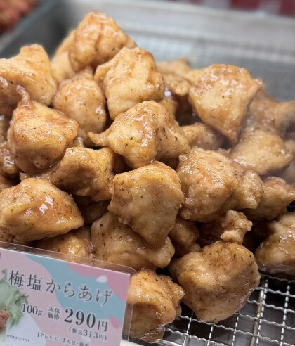 春のおすすめ