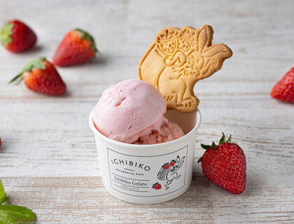 【 南町田店 限定❕ 】いちごジェラート🍨💖
