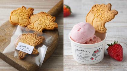 いちごジェラートのご紹介🍨🍓