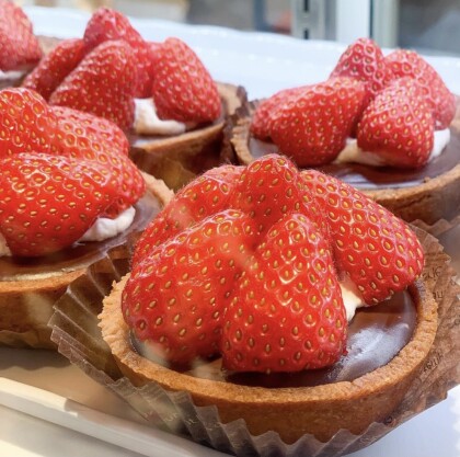 バレンタイン いちびこ ショップトピックス グランベリーパーク