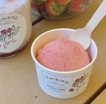 いちごジェラートのご紹介🍨🍓