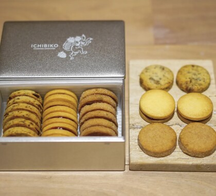ICHIBIKO クッキー缶 新発売 🍪🐇✨