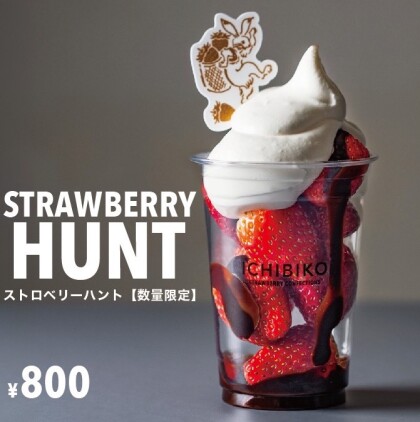 【本日22日から新発売】ストロベリーハント🍓🥄🌟