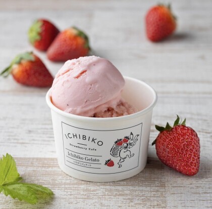 いちごジェラートのご紹介🍨🍓