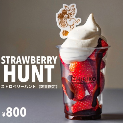 【数量限定❕】ストロベリーハント🍓🥄🌟