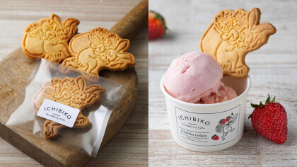 南町田店限定 いちごのジェラート🍨🤎