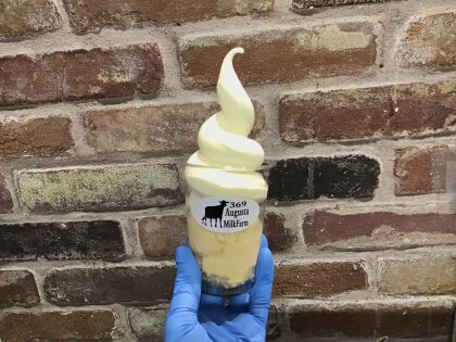 今月のオススメ