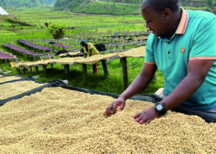 2025年アフリカ150品中の頂点に輝いたコーヒー【エフレム アフリカンウイナー/ブルンジ共和国】新入荷！