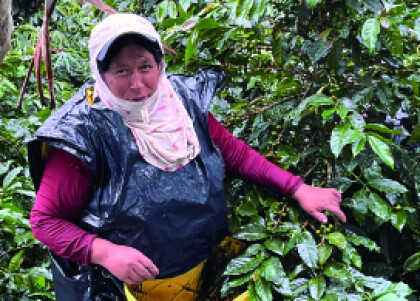 再入荷！古き良きコロンビアの味【ブルセラス クリムゾン/コロンビア】