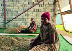 新入荷!【ジェントリースイート/パプアニューギニア】小規模農家の環境、品質の両方を高めた有機農法のコーヒー