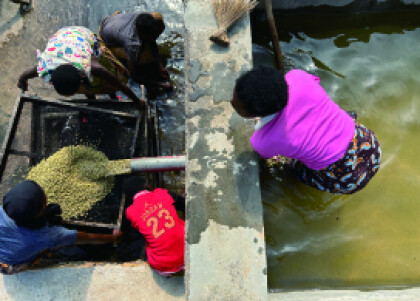 2025年アフリカ150品中の頂点に輝いたコーヒー【エフレム アフリカンウイナー/ブルンジ共和国】新入荷！