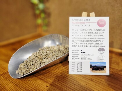 新入荷！【アンティグアフエゴ/グァテマラ】古都アンティグアで1842年から続く農園で栽培されたコーヒー