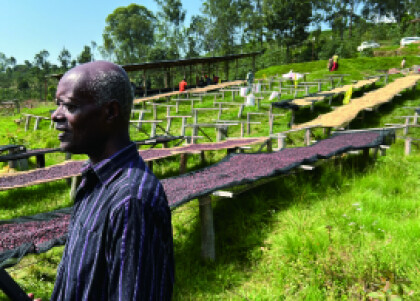 2025年アフリカ150品中の頂点に輝いたコーヒー【エフレム アフリカンウイナー/ブルンジ共和国】新入荷！