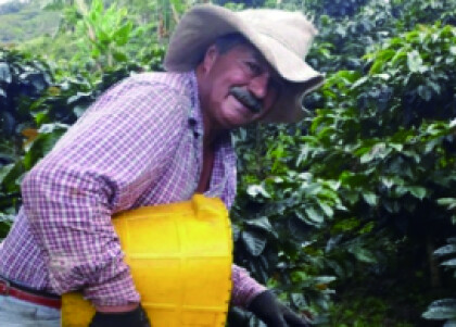 新入荷！【プラナダス トリマ デカフェ/コロンビア】伝統的農法によるオーガニックデカフェコーヒー