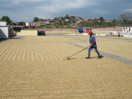 今週のおすすめ【アンデスレセルバ/エクアドル】アプリポイント2倍商品