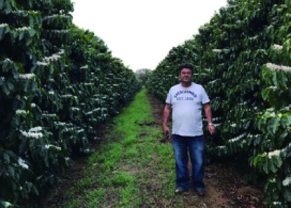 季節限定販売です！🌸【桜ブレンド】🌸