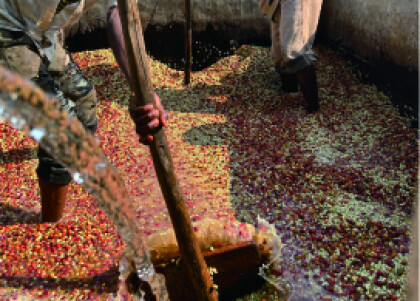 2025年アフリカ150品中の頂点に輝いたコーヒー【エフレム アフリカンウイナー/ブルンジ共和国】新入荷！