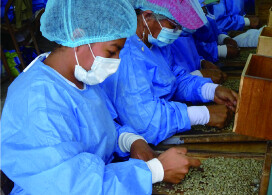 今週のおすすめ【アンデスレセルバ/エクアドル】アプリポイント2倍商品