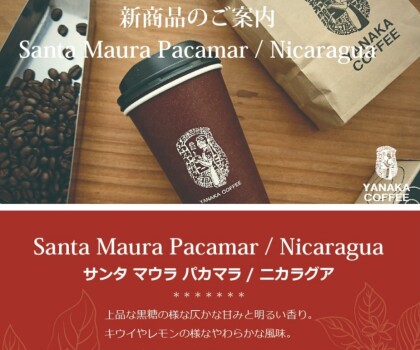  ☆新商品！サンタ マウラ パカマラ/ニカラグア