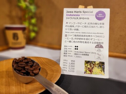 今週のおすすめ【ジャワ ハリス スペシャル/インドネシア】スタンプカードポイント2倍商品　　