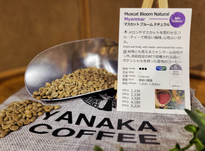 新入荷!【マスカット ブルーム ナチュラル/ミャンマー】ミャンマー秘境の地チン州で栽培されたナチュラル製法のコーヒー