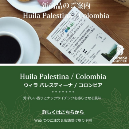 ☆再入荷☆ウィラ パレスティーナ / コロンビア   