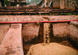 新入荷!【イルガチェフェ ヒルト&マダー/エチオピア】コーヒー生産20年以上の経験をもつ二人の姉妹が手掛けたコーヒー