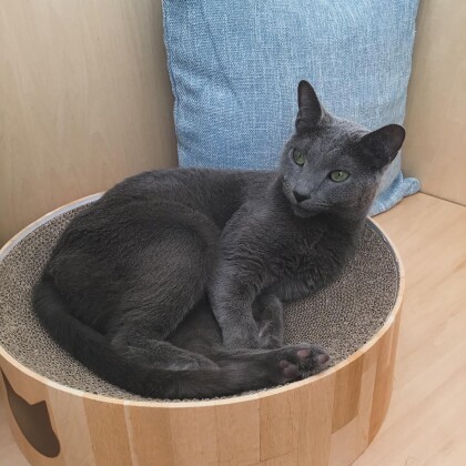スラっとカッコいい男の子🐈‍⬛