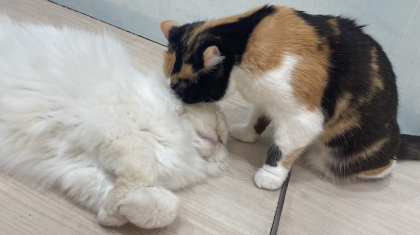 仲良し😌💕