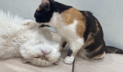 仲良し😌💕