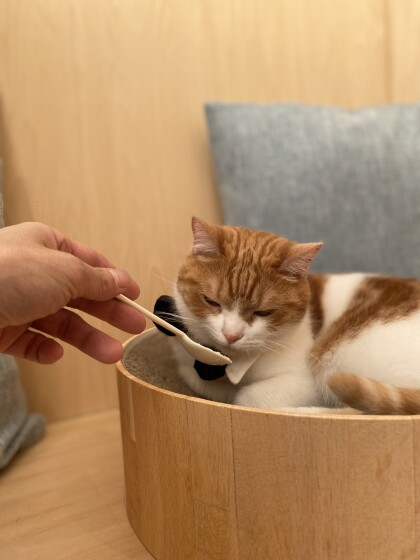お誕生日会開催の様子です🐾