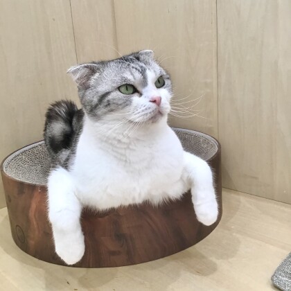 凛としたそのお姿は…