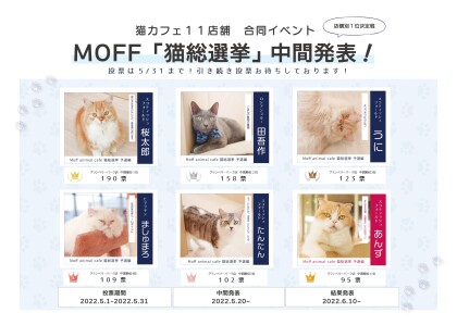 3f 猫カフェ 猫総選挙 中間発表 Moffアニマルカフェ ショップトピックス グランベリーパーク