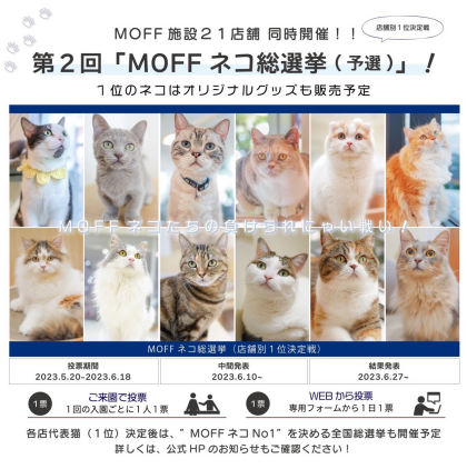 まる特集🐈