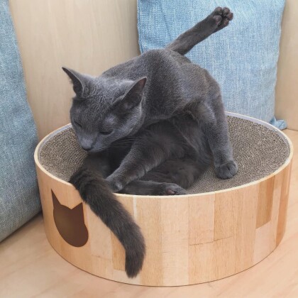 スラっとカッコいい男の子🐈‍⬛