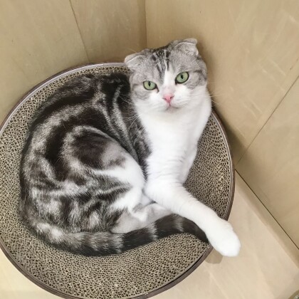 凛としたそのお姿は…