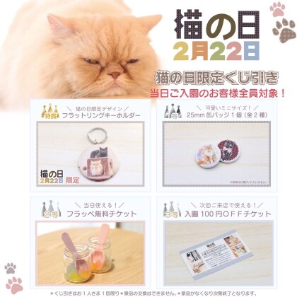 3f 猫カフェ いよいよ明日は猫の日 Moffアニマルカフェ ショップトピックス グランベリーパーク