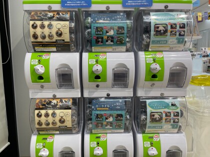 期間限定‼アドベンチャーワールド サテライトショップ 2025年12/12（金）～2026年1/18（日）まで開催中‼