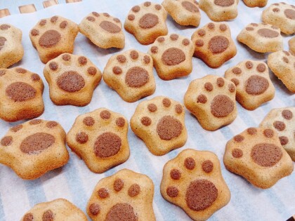 「まちだぬき のあしあと」フィナンシェ発売中です！