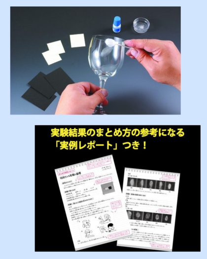 【🌻自由研究におすすめ🌻】指紋を調べてみよう！🔍