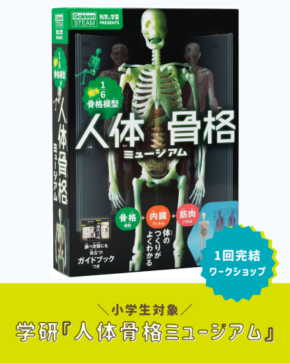 🎇8月18日(月)～8月24日(日)のワークショップ🎇