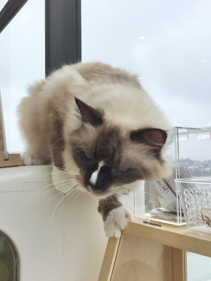 甘え上手🎀