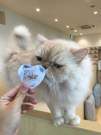 SP缶バッチリニューアル！