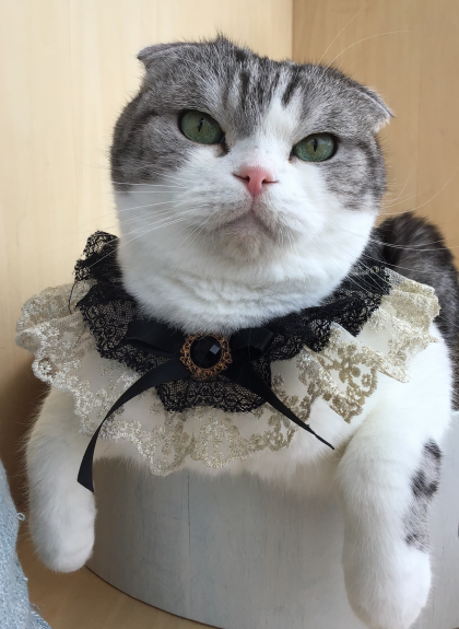 お誕生日マルくんです🎂
