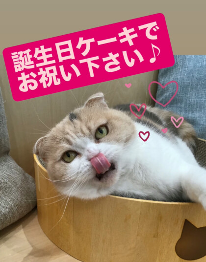 お誕生日会開催のお知らせ💞