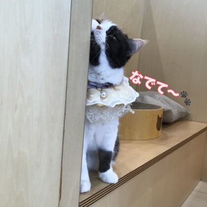 お誕生日おめでとう🥳