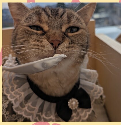 お誕生日会行いました✨