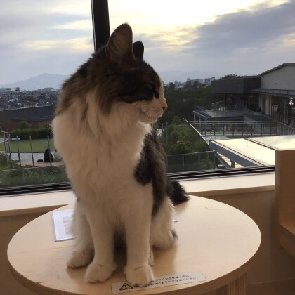 うちの王子様👑
