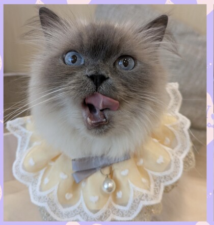 お誕生日会行いました✨
